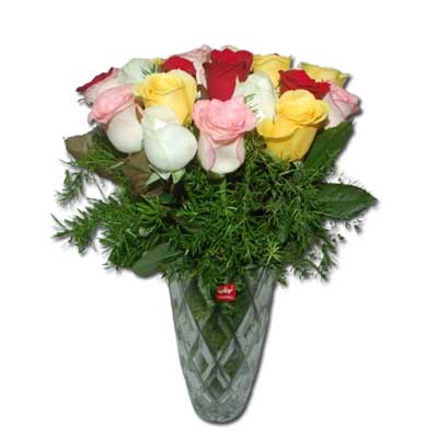"Gift Combo - code05 - Click here to View more details about this Product